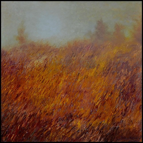 Autumn Fog 