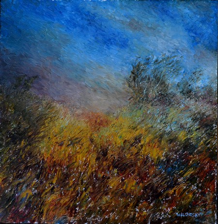 Summer Storm